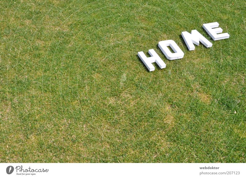 Home Sweet Home Grass Sign Characters Bright Colour photo Deserted Copy Space left Letters (alphabet) Lawn Drought Dry White Green Exterior shot