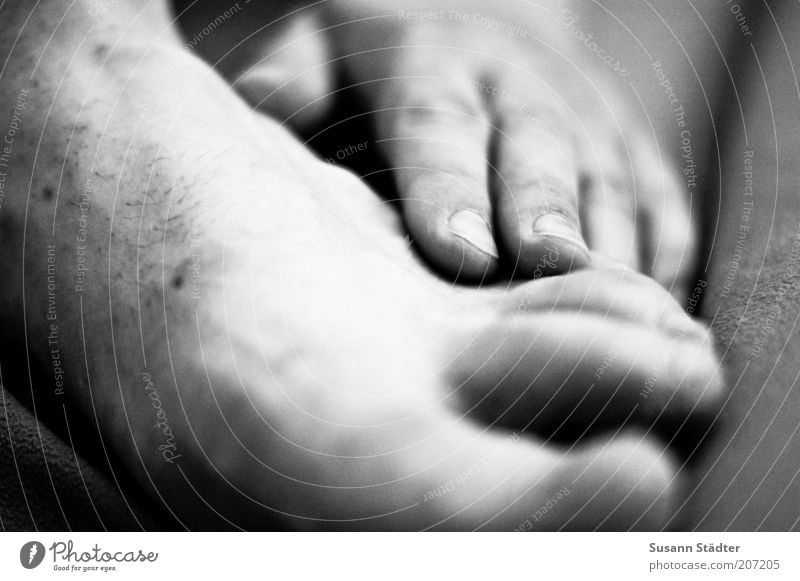 feel good. Man Adults Skin Hand Feet 1 Human being Natural Barefoot Men`s feet Mole Black & white photo Close-up Detail Shallow depth of field Naked flesh Itch