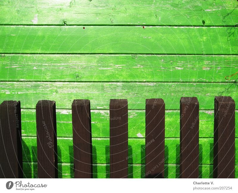 Board hedge Garden Wooden fence Simple Brown Green Line Lined Wooden board Shadow Wood grain Flake off Multicoloured Exterior shot Close-up Deserted Day