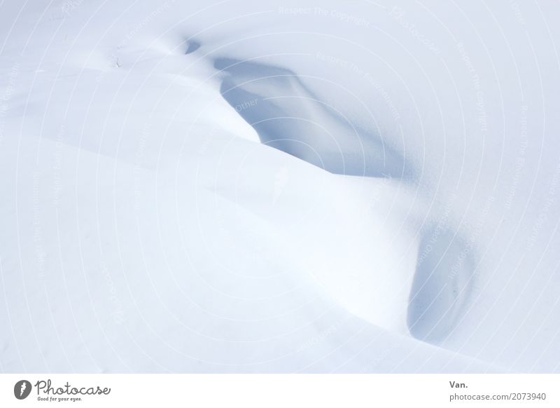snowdrift Nature Winter Snow Snowfall Cold White Snowdrift Colour photo Subdued colour Exterior shot Detail Deserted Copy Space left Copy Space right