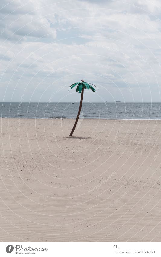 fake palm tree Vacation & Travel Tourism Summer vacation Beach Ocean Island Waves Environment Nature Landscape Elements Sand Water Sky Clouds Climate