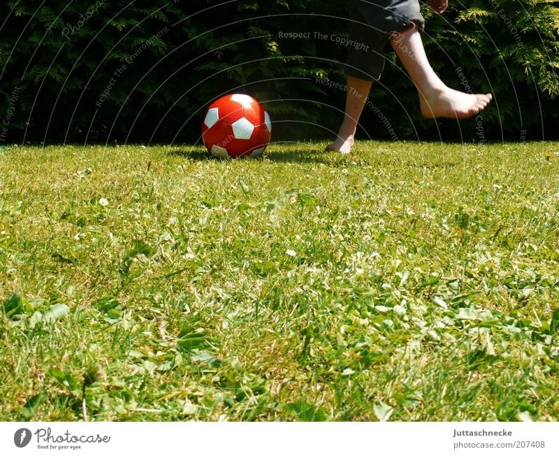 Newtonian tangent method ... Garden Sports Ball sports Soccer Foot ball Tread Human being Masculine Boy (child) Infancy Legs Feet 1 Summer Meadow Movement