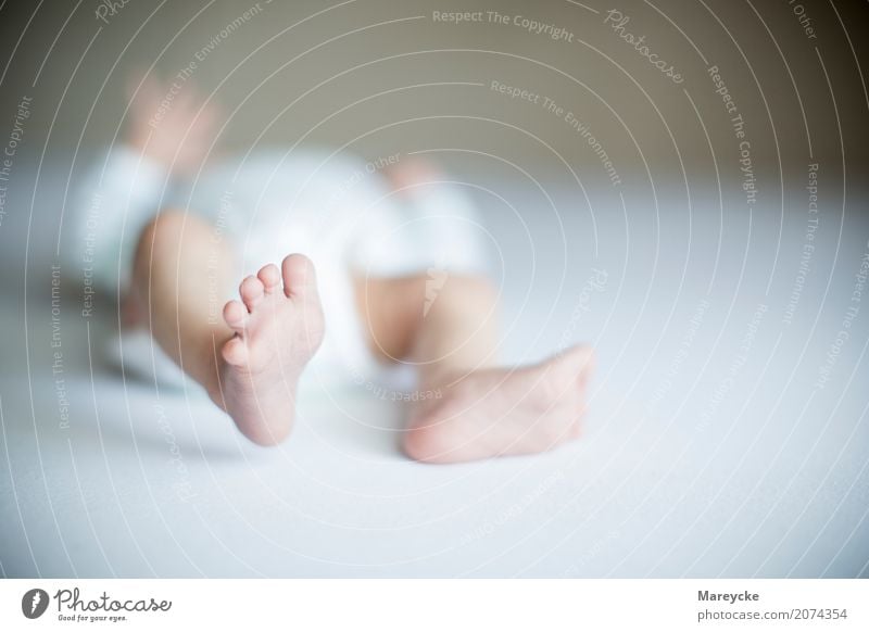 baby foot Human being Baby Infancy Feet Responsibility Contentment Colour photo Interior shot Copy Space right Day Blur