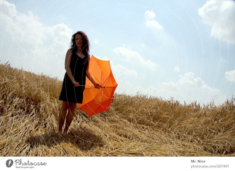 patron Feminine Woman Adults Environment Nature Summer Field Dress Umbrella Long-haired Wait Thin Black Happy Contentment Cornfield Summery Warmth Orange