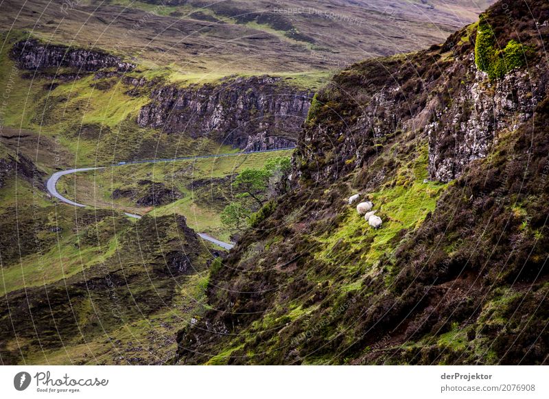 View from the Quiraing on Isle of Skye V Clouds Ledge coast Lakeside River bank Summer Landscape Rock Bay Plant Fjord Island Scotland Europe Exterior shot