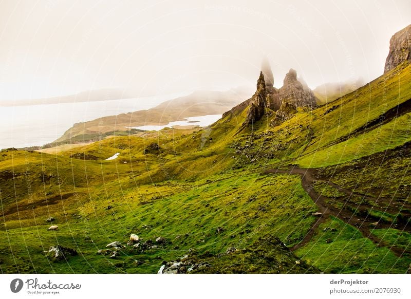 Old Man of Storr 1 Vacation & Travel Tourism Adventure Far-off places Freedom Camping Mountain Hiking Environment Nature Landscape Plant Summer Bad weather Fog