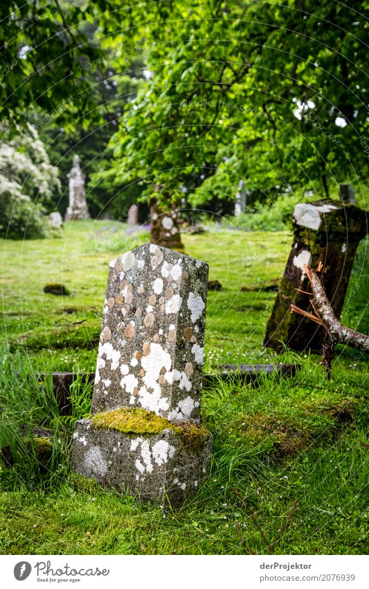 Gravestone on cemetery on the Isle of Skye IV Ruin Crucifix Peace Cemetery Central perspective Copy Space middle Great Britain Tourism Vacation & Travel Hiking