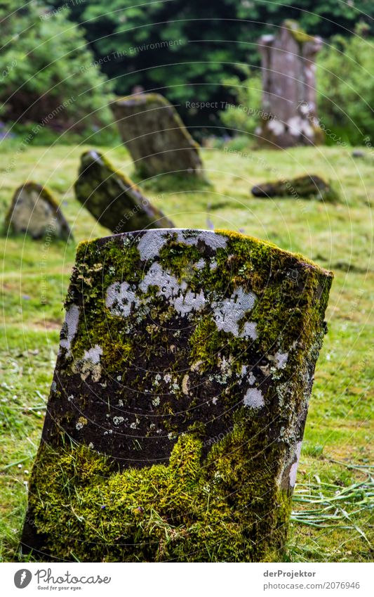 Gravestone on cemetery on the Isle of Skye I Ruin Crucifix Peace Cemetery Central perspective Copy Space middle Great Britain Tourism Vacation & Travel Hiking