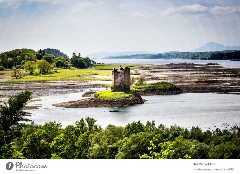 Small, but fine: Scottish Castle Vacation & Travel Tourism Trip Adventure Far-off places Freedom Hiking Environment Summer Beautiful weather Hill Rock Waves