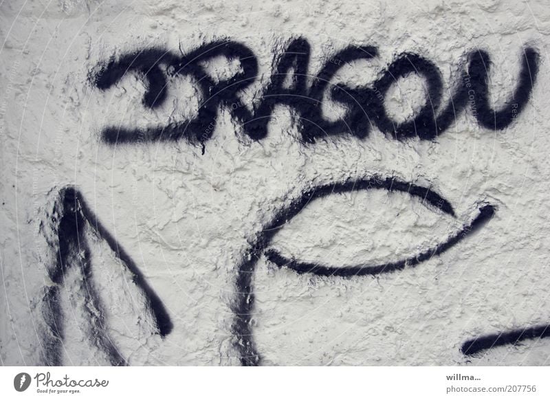 dragon Dragon Sign Characters Graffiti Wall (barrier) Wall (building) Facade Word Text Plaster Scribbles Daub Structures and shapes writing