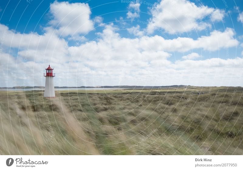 Lighthouse in List on Sylt Vacation & Travel Tourism Far-off places Freedom Summer Summer vacation Ocean Island Nature Plant Wild plant Coast North Sea Maritime