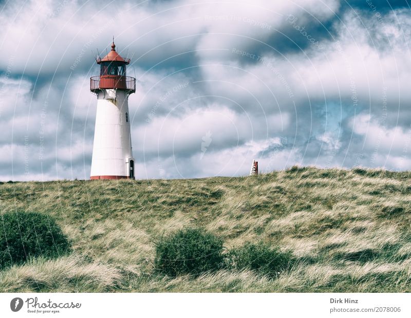 Lighthouse in List on Sylt Vacation & Travel Tourism Trip Far-off places Freedom Sightseeing Summer vacation Ocean Island Nature Water Grass Meadow Coast