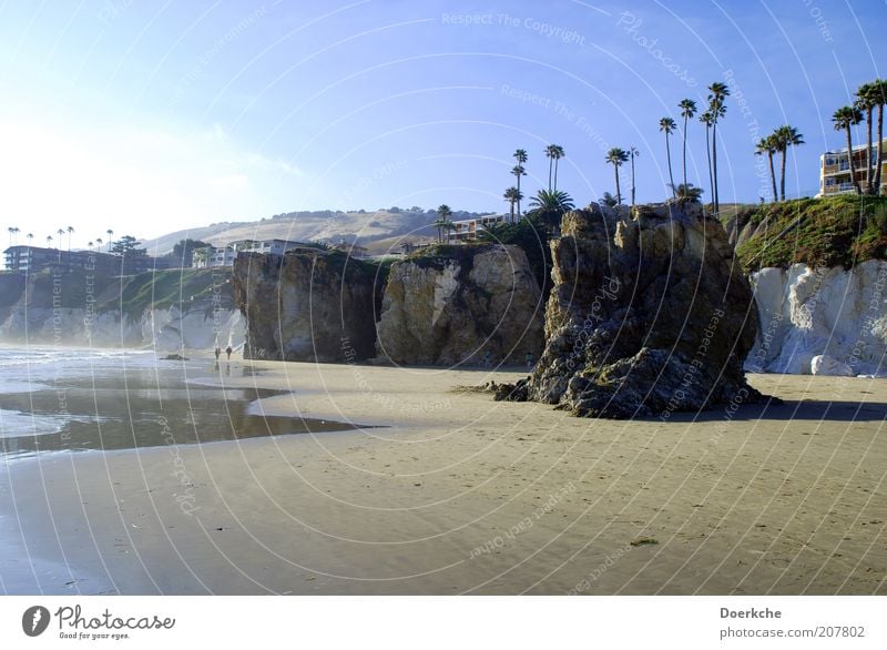 Rocky relaxation Nature Landscape Sand Beautiful weather Palm tree Coast Beach Bay Ocean Pacific Ocean Gigantic Calm pismo beach Colour photo Exterior shot Day