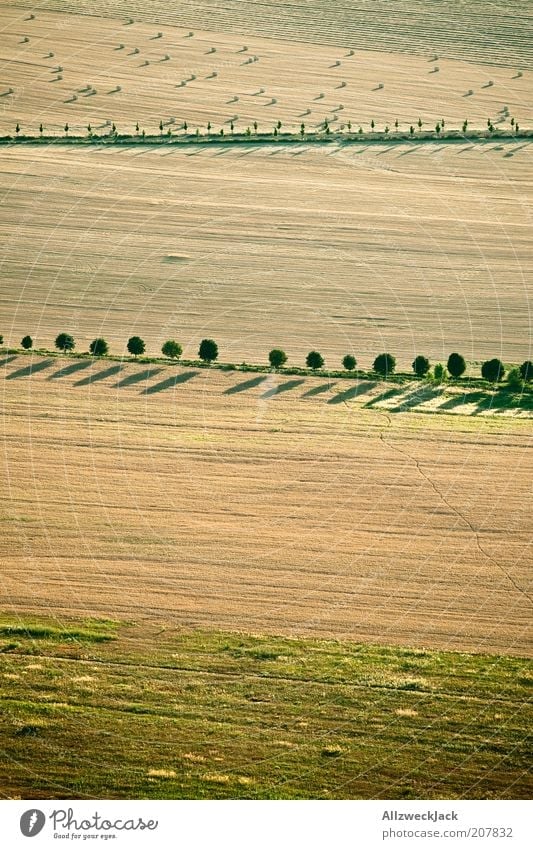 idyllic village Nature Earth Summer Beautiful weather Tree Field Far-off places Natural Esthetic Arrangement Hay bale Footpath Shadow Aerial photograph