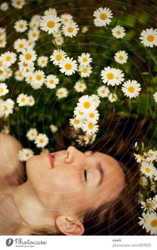 spring sleep Feminine Young woman Youth (Young adults) Woman Adults Head Face 18 - 30 years Spring Summer Flower Relaxation To enjoy Smiling Lie Sleep Dream