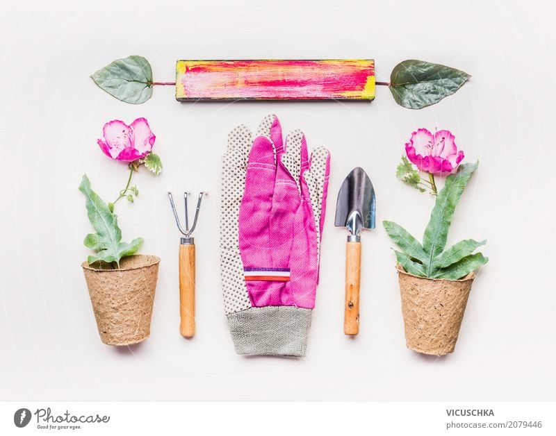 Garden hand tools and flowerpots Lifestyle Style Design Leisure and hobbies Summer Nature Plant Spring Flower Decoration Pink Equipment Gardening Shovel Gloves