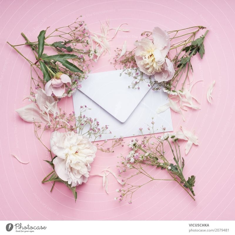 Envelope with white flowers on pink background Lifestyle Elegant Style Design Summer Feasts & Celebrations Valentine's Day Mother's Day Wedding Birthday Plant