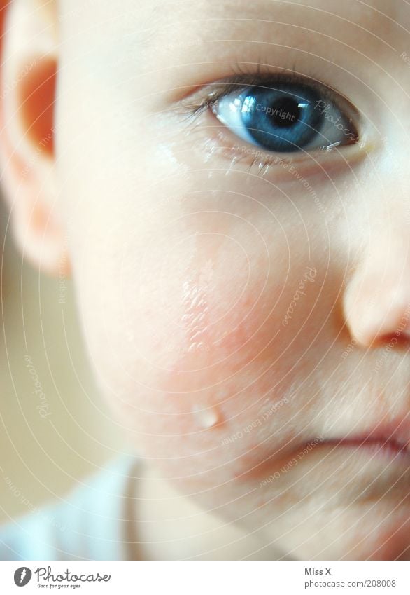 blue eye Child Baby Toddler Infancy Eyes 1 Human being 0 - 12 months 1 - 3 years Cry Emotions Moody Sadness Grief Pain Tears Colour photo Interior shot Close-up