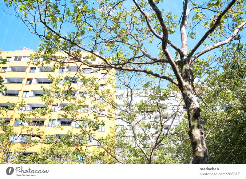 Märkisches Viertel Lifestyle Style Environment Nature Landscape Tree Berlin House (Residential Structure) High-rise Building Architecture Facade Modern