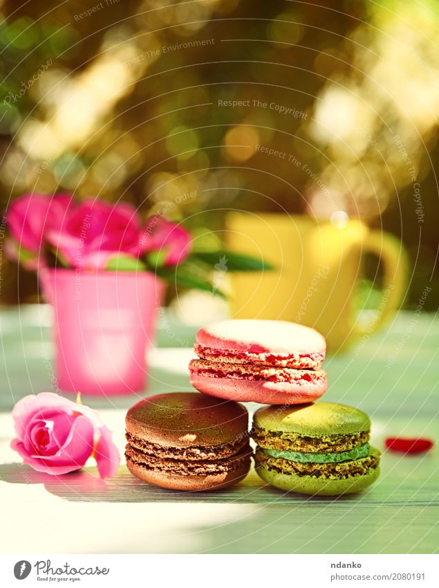 Three multi-colored almond macaroons Dessert Candy Coffee Cup Table Flower Bouquet Wood Blossoming Eating Bright Brown Yellow Green Pink White Colour Tradition