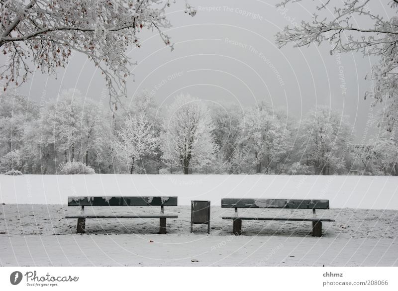 wait for summer Nature Winter Park Meadow Forest Bench Trash container Loneliness Calm Gray Symmetry Frost Colour photo Subdued colour Exterior shot Deserted