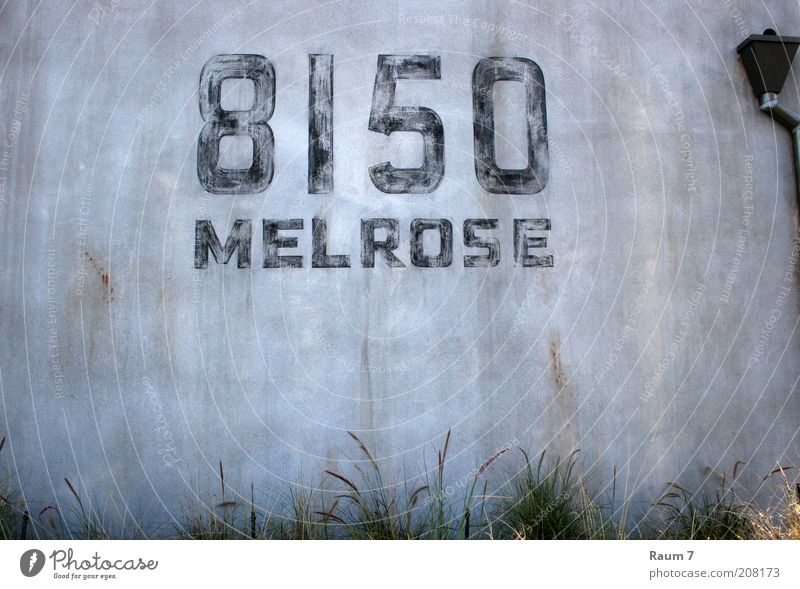 8150 Deserted Wall (barrier) Wall (building) Facade Colour photo Subdued colour Exterior shot Detail Day Characters melrose Grass Gray Reflection