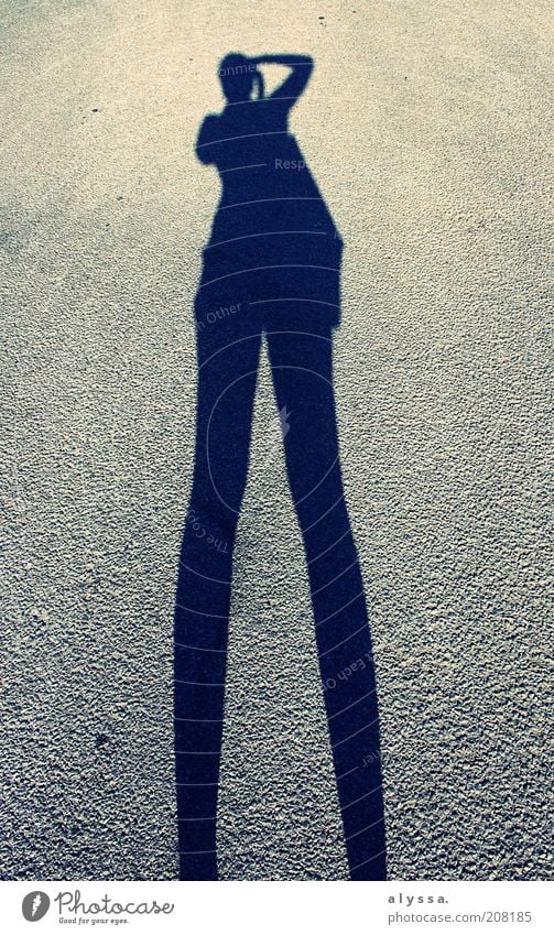 Shadows in action. Style Human being Feminine Woman Adults 1 Street Stand Gigantic Gray Black Take a photo Shadow play Large Legs Long Stretching Funny