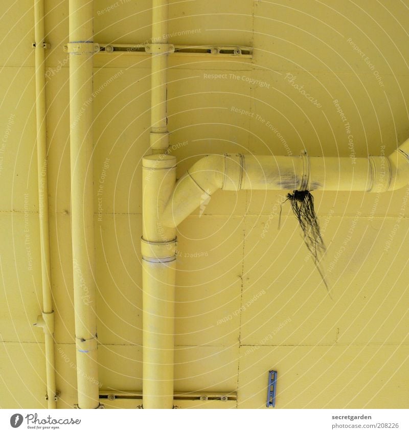 [H 10.1] Well camouflaged. Room Drainpipe Concrete Yellow Colour Perspective Repair Junction Heating pipe Darning Ceiling Conduit Hang Repaired Colour photo