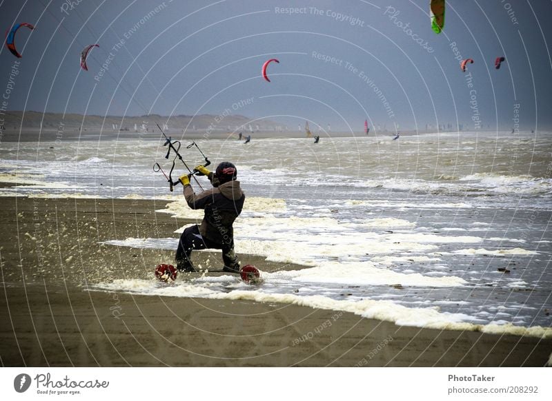 kite land boarding Sports Aquatics Kiting Kiter Kiteboard Water Sky Storm clouds Bad weather Wind Gale Beach North Sea Ocean Driving Fitness Athletic