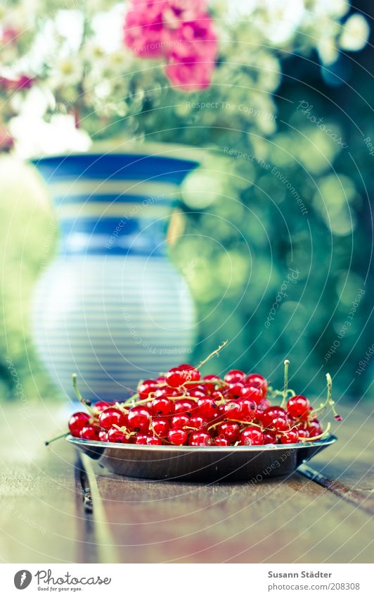 the berries of Johannis Fruit Nutrition Organic produce Vegetarian diet Decoration Bouquet Fresh Uniqueness Beautiful Redcurrant Garden table Wooden table