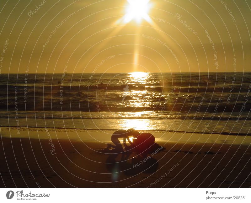 gold-rush atmosphere Colour photo Exterior shot Evening Sunrise Sunset Back-light Joy Children's game Summer Beach Ocean Brothers and sisters Sand Water