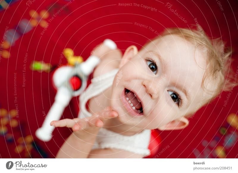 thin Playing Child Girl Head Face 1 - 3 years Toddler Toys Smiling Laughter Looking Brash Happiness Funny Red Moody Joy Joie de vivre (Vitality) Enthusiasm Life