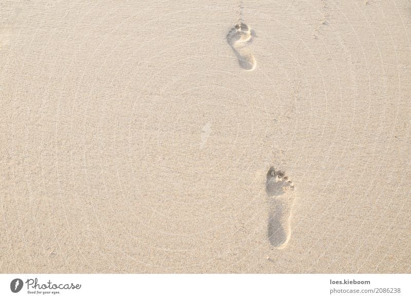 Two footsteps in the sand, Thailand Vacation & Travel Summer Beach Human being Nature Sand Yellow Peace barefoot freedom shore sand shape tourism vacation