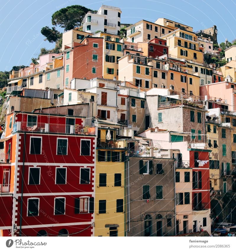 Cinque Terre XXIV Village Fishing village Small Town Port City Downtown Old town House (Residential Structure) Esthetic Picturesque Riomaggiore Italy