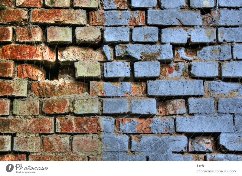 blue bricks House (Residential Structure) Architecture Wall (barrier) Wall (building) Old Blue Red Transience Brick Hollow Seam Plaster Broken Dye Paintwork