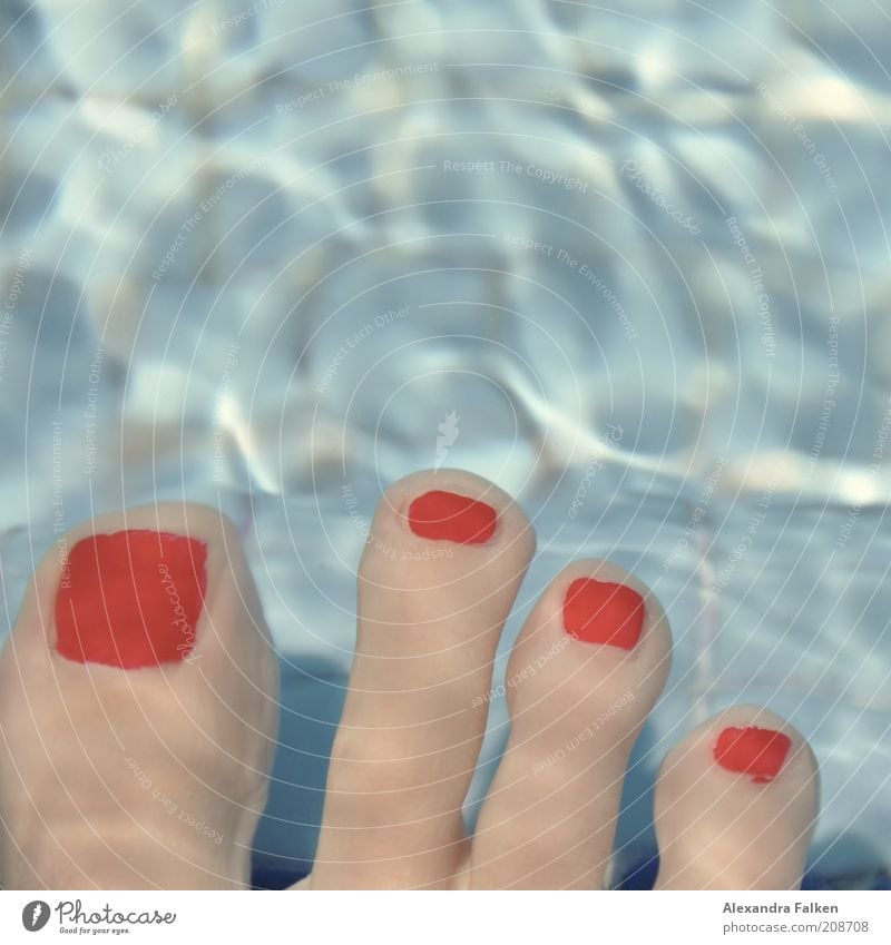 Four wins. Feet Toes toenail Blue Red Nail polish Pedicure Underwater photo Wizened Tile Relaxation Swimming & Bathing Colour photo Copy Space top Swimming pool