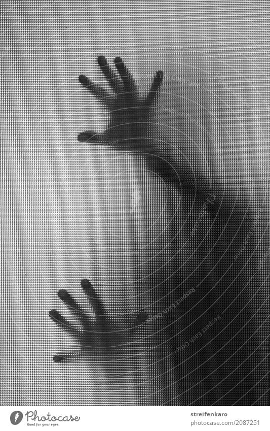 Human silhouette behind a glass pane, hands touching the pane Human being Woman Adults Man Hand 1 30 - 45 years Glass Touch Esthetic Gray Black White Emotions