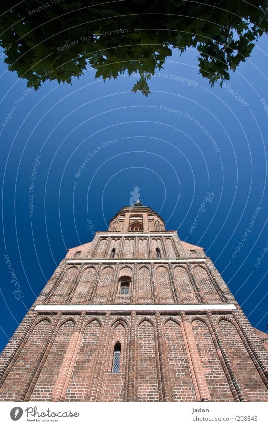 tower. Church Tower Facade Window Old Tall Blue Sky Leaf canopy Copy Space middle Day Wide angle Church spire Exterior shot Blue sky Worm's-eye view Brick