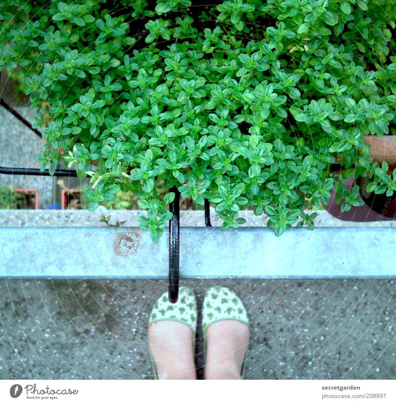 The innocence of the land. Leisure and hobbies Gardener Summer Living or residing Balcony Feminine Woman Adults Feet 1 Human being Plant Foliage plant Slippers