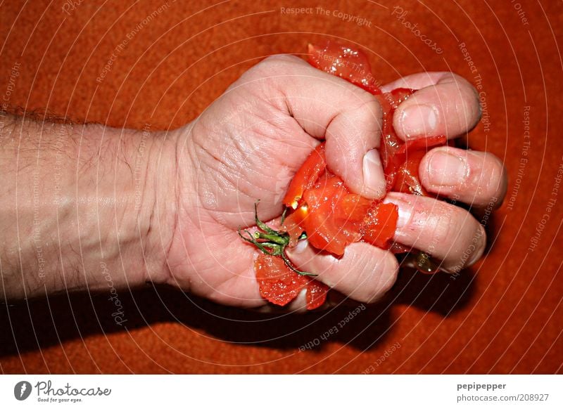 tomatina for the poor Food Vegetable Masculine Man Adults Hand 1 Human being Agricultural crop Aggression Exceptional Threat Disgust Broken Juicy Red Might