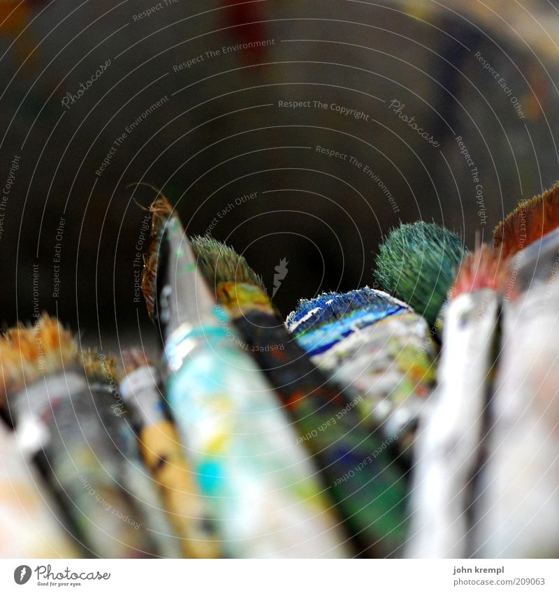 Hairy thing Art Culture Subculture Dye Paintbrush Beautiful Trashy Inspiration Style Old Colour photo Copy Space top Shallow depth of field Multicoloured