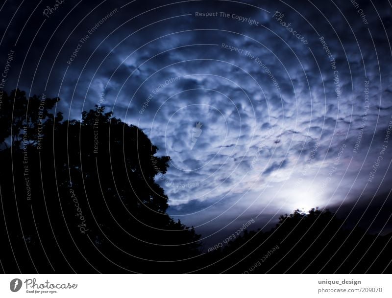 night sky Environment Sky Clouds Night sky Moon Dark Blue Black Subdued colour Exterior shot Deserted Long exposure Low-key Tree Silhouette Clouds in the sky