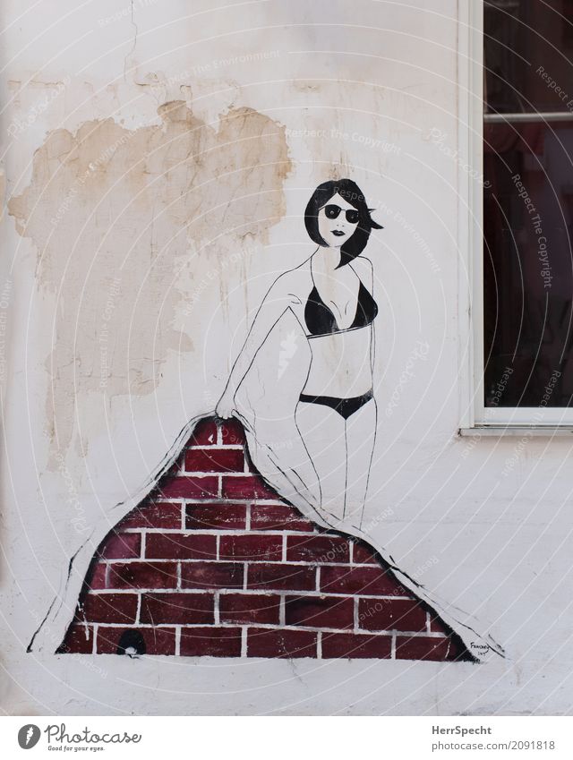 Bare House (Residential Structure) Manmade structures Building Wall (barrier) Wall (building) Facade Window Graffiti Funny Town Art Street art Woman Bikini