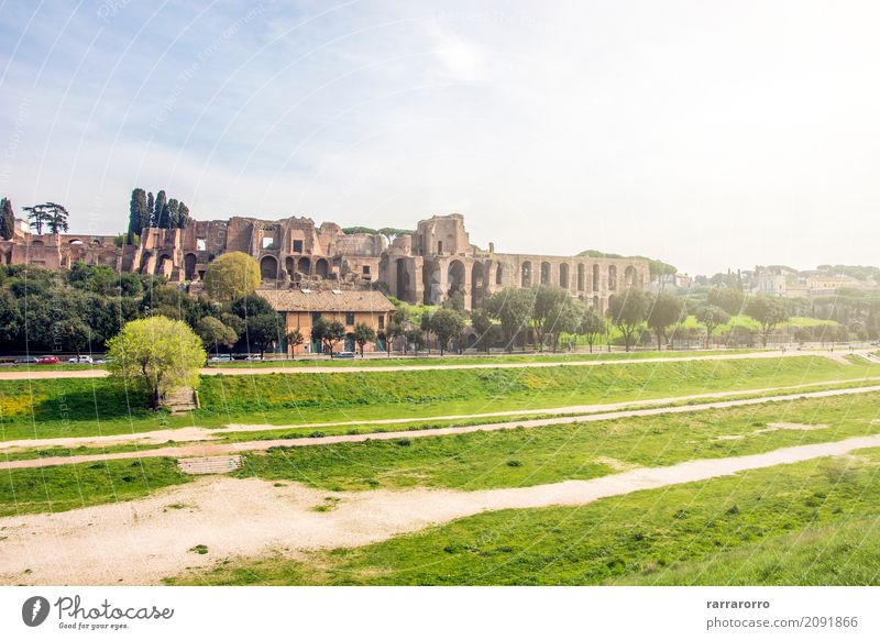 Circus Maximus in Rome Environment Nature Landscape Plant Italy Small Town Tourist Attraction Landmark Monument circus maximus Relaxation Looking Old Natural