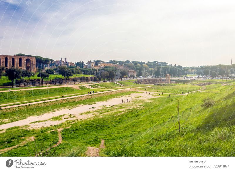 Circus Maximus in Rome Environment Nature Landscape Plant Small Town Tourist Attraction Landmark Monument circus maximus Old Virtuous Happy Fear of death
