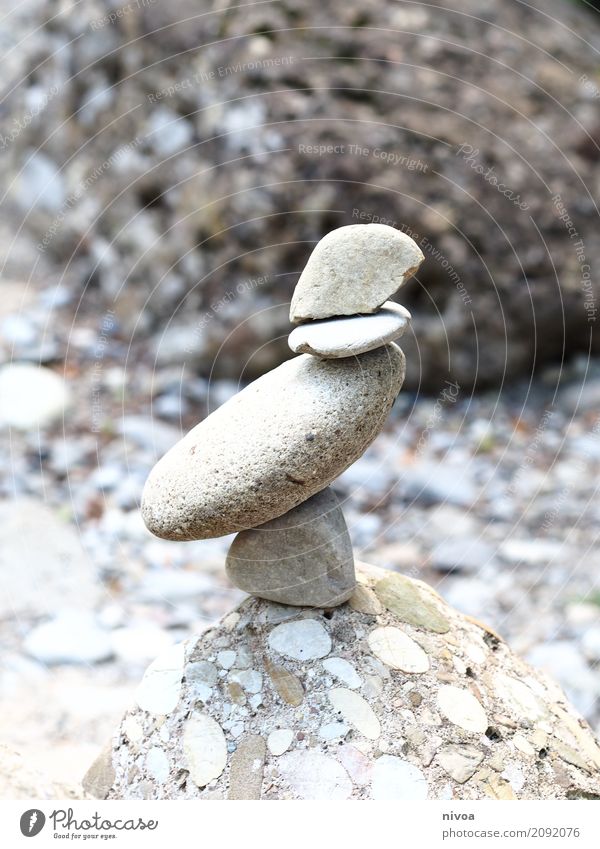 Cairn Stone Bird Trip Adventure Mountain Hiking Art Artist Work of art Environment Nature Landscape Beautiful weather Rock Animal 1 Sign Discover Stand Esthetic