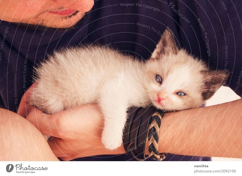 Young man holding a baby siamese cat Human being Masculine Youth (Young adults) 1 18 - 30 years Adults T-shirt Bracelet Designer stubble Animal Pet Cat