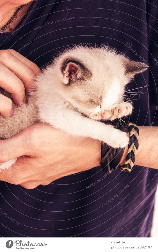 Young man holding a baby cat with his hands Lifestyle Human being Masculine Youth (Young adults) 1 18 - 30 years Adults T-shirt Bracelet Animal Pet Cat Love