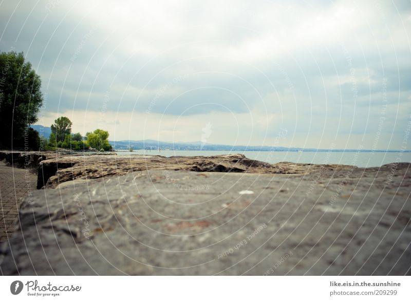 Come sit with me. Relaxation Calm Water Clouds Summer Tree Coast Lakeside River bank Bay Lake Constance Deserted Wall (barrier) Wall (building) Infinity