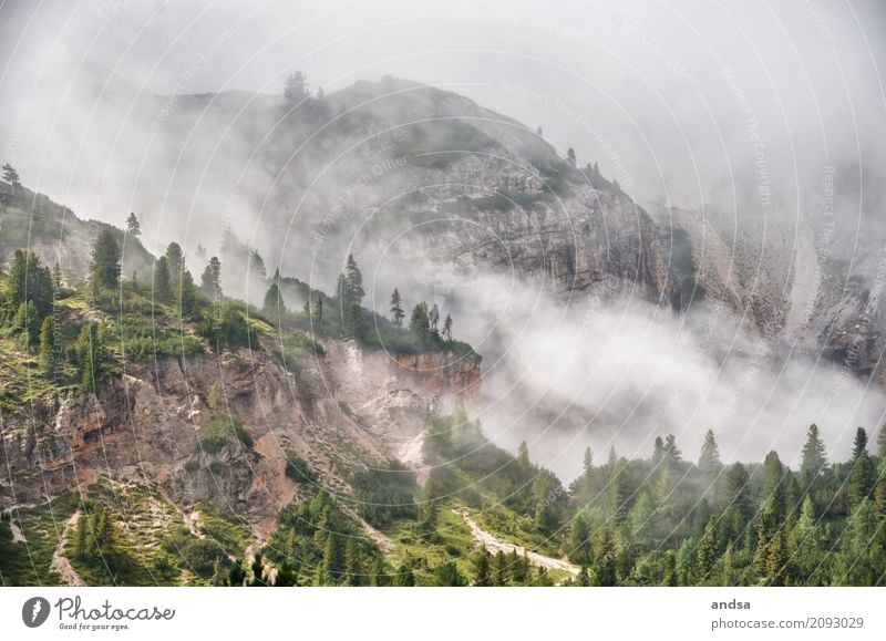 Fog in the Dolomites Vacation & Travel Trip Adventure Far-off places Freedom Expedition Camping Summer Summer vacation Mountain Hiking Nature Landscape